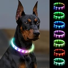 Joytale leuchthalsband hund gebraucht kaufen  Wird an jeden Ort in Deutschland