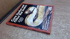 Corn snakes and d'occasion  Livré partout en France
