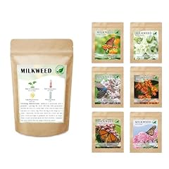 Milkweed seeds monarch for sale  Delivered anywhere in USA 
