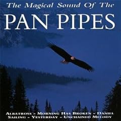 Magical sound pan for sale  Delivered anywhere in UK