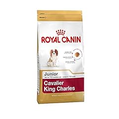 Royal canin king d'occasion  Livré partout en France