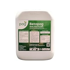 Pag betapag borlanda usato  Spedito ovunque in Italia 