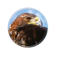 Deluxebase magnidome adler gebraucht kaufen  Wird an jeden Ort in Deutschland
