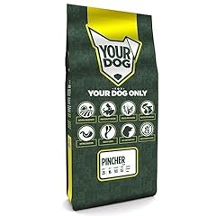 Yourdog pincher pup usato  Spedito ovunque in Italia 
