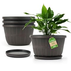Quarut inch plastic for sale  Delivered anywhere in USA 