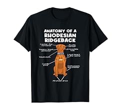 Anatomy rhodesian ridgeback for sale  Delivered anywhere in USA 