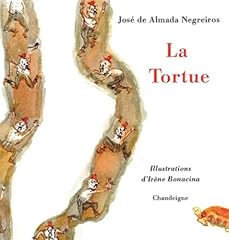 kinder tortue d'occasion  Livré partout en France