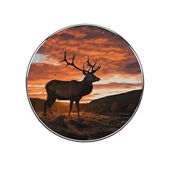 Kitchen magnets refrigerator for sale  Delivered anywhere in UK