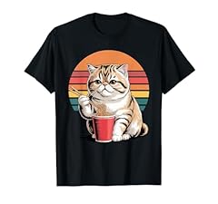 Retro exotic shorthair usato  Spedito ovunque in Italia 