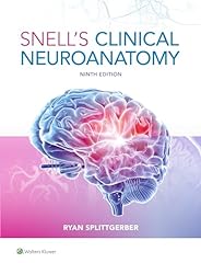 Snell clinical neuroanatomy usato  Spedito ovunque in Italia 