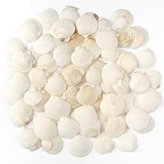 Taoq pièces coquillages d'occasion  Livré partout en France