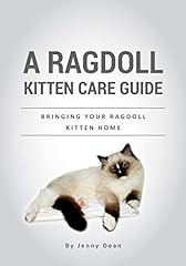 Ragdoll kitten care for sale  Delivered anywhere in UK