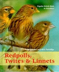 Redpolls twites linnets for sale  Delivered anywhere in UK