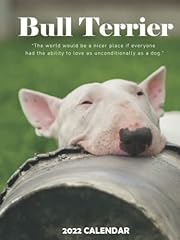 Bull terrier 2022 d'occasion  Livré partout en France