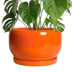 Sqowl ceramic planter for sale  Delivered anywhere in USA 