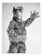Alf poster cm gebraucht kaufen  Wird an jeden Ort in Deutschland