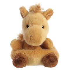 Aurora adorable palm for sale  Delivered anywhere in USA 