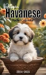2024 2025 havanese for sale  Delivered anywhere in USA 