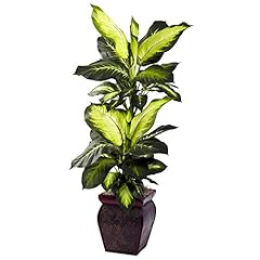 Nearly natural dieffenbachia for sale  Delivered anywhere in USA 