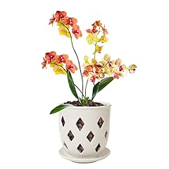 Ceramic orchid pot for sale  Delivered anywhere in USA 
