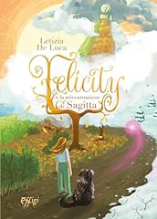 Felicity reincarnazione di usato  Spedito ovunque in Italia 