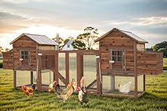 Large wooden chicken for sale  Delivered anywhere in USA 