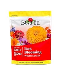 Burpee fast blooming for sale  Delivered anywhere in USA 