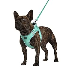 Amtor dog harness for sale  Delivered anywhere in USA 