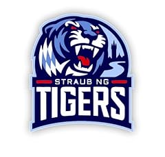 Straubing tigers sticker gebraucht kaufen  Wird an jeden Ort in Deutschland