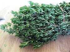 Thyme seeds known for sale  Delivered anywhere in USA 