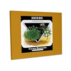 3drose herbs summer for sale  Delivered anywhere in USA 