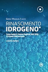 Rinascimento idrogeno come usato  Spedito ovunque in Italia 