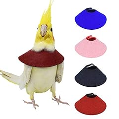 4pack pet parrot for sale  Delivered anywhere in USA 