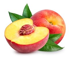 Fruit tree peach for sale  Delivered anywhere in Ireland