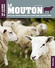 Mouton races entretenir d'occasion  Livré partout en France