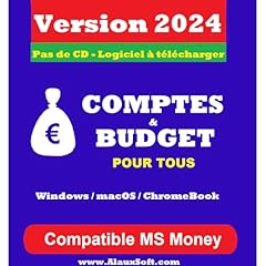 Comptes budget remplace d'occasion  Livré partout en France