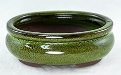 Calibonsai oval mame for sale  Delivered anywhere in USA 