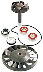 Kit revisione pompa usato  Spedito ovunque in Italia 