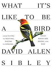 Used, What It's Like to Be a Bird: From Flying to Nesting, for sale  Delivered anywhere in USA 