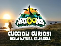Natoons usato  Spedito ovunque in Italia 