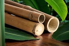 Canna bambù moso usato  Spedito ovunque in Italia 