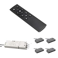 Kanal funkfernbedienung 12v gebraucht kaufen  Wird an jeden Ort in Deutschland