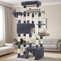 Gitelsnour maine coon for sale  Delivered anywhere in USA 