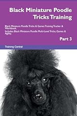 Black miniature poodle for sale  Delivered anywhere in UK