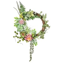 Beinhome inch succulent for sale  Delivered anywhere in USA 