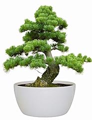 Bonsai indoor grow for sale  Delivered anywhere in UK