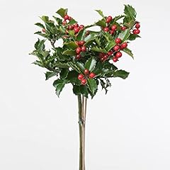 Holly Tree for sale in UK | 10 used Holly Trees