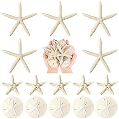 Pieces white starfish for sale  Delivered anywhere in UK