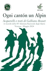 Ogni cantón alpin usato  Spedito ovunque in Italia 