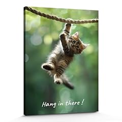 Generic hang cat for sale  Delivered anywhere in USA 